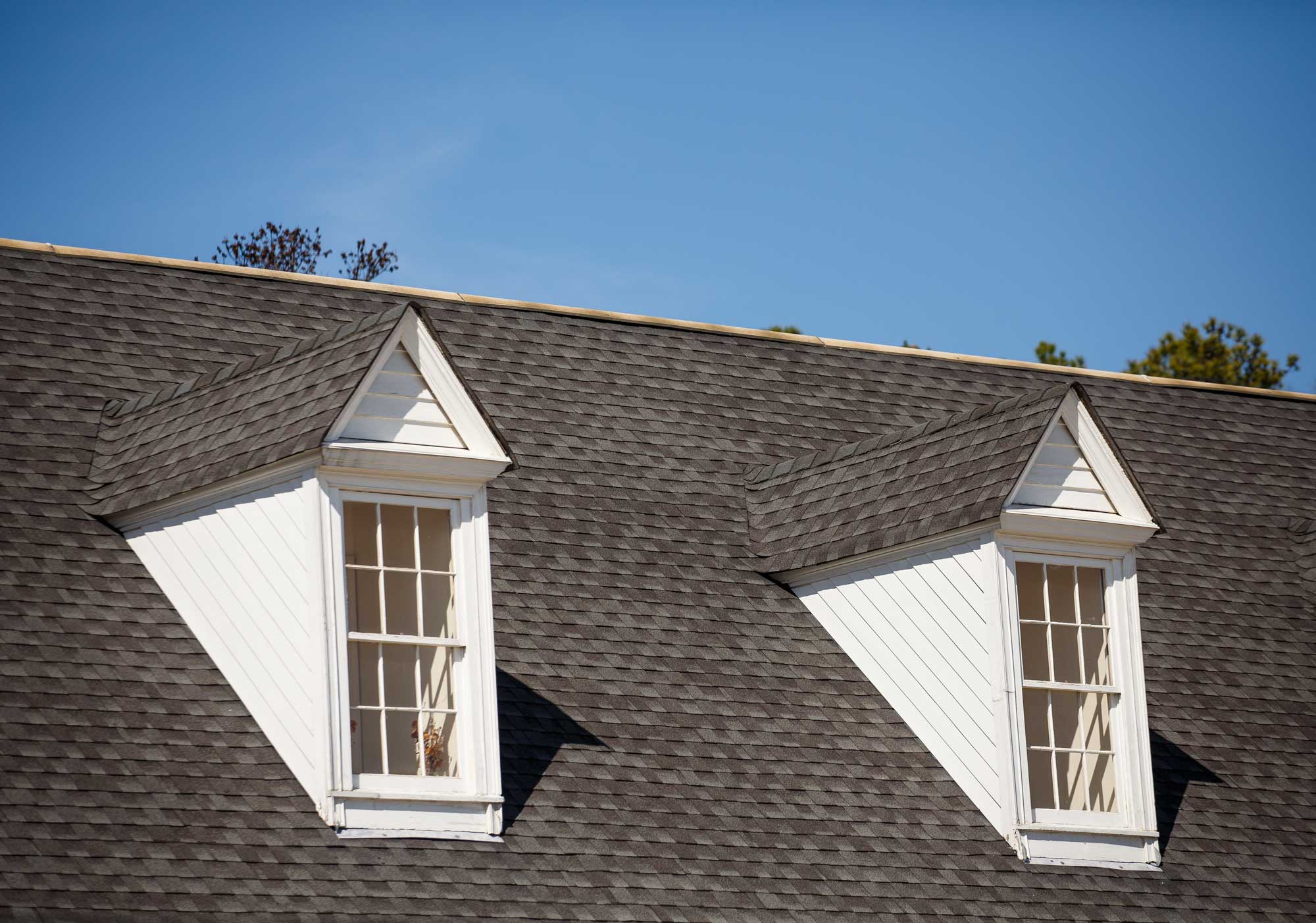 Asphalt 19 - Home Pro Roofing