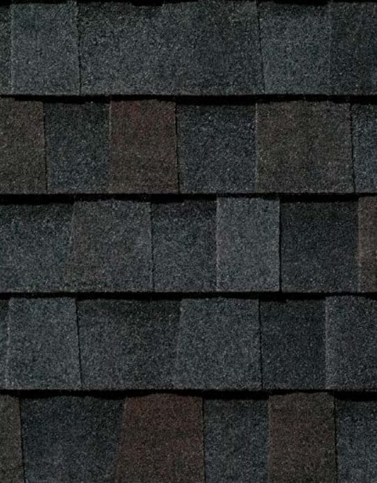 black walnut 1 - Home Pro Roofing